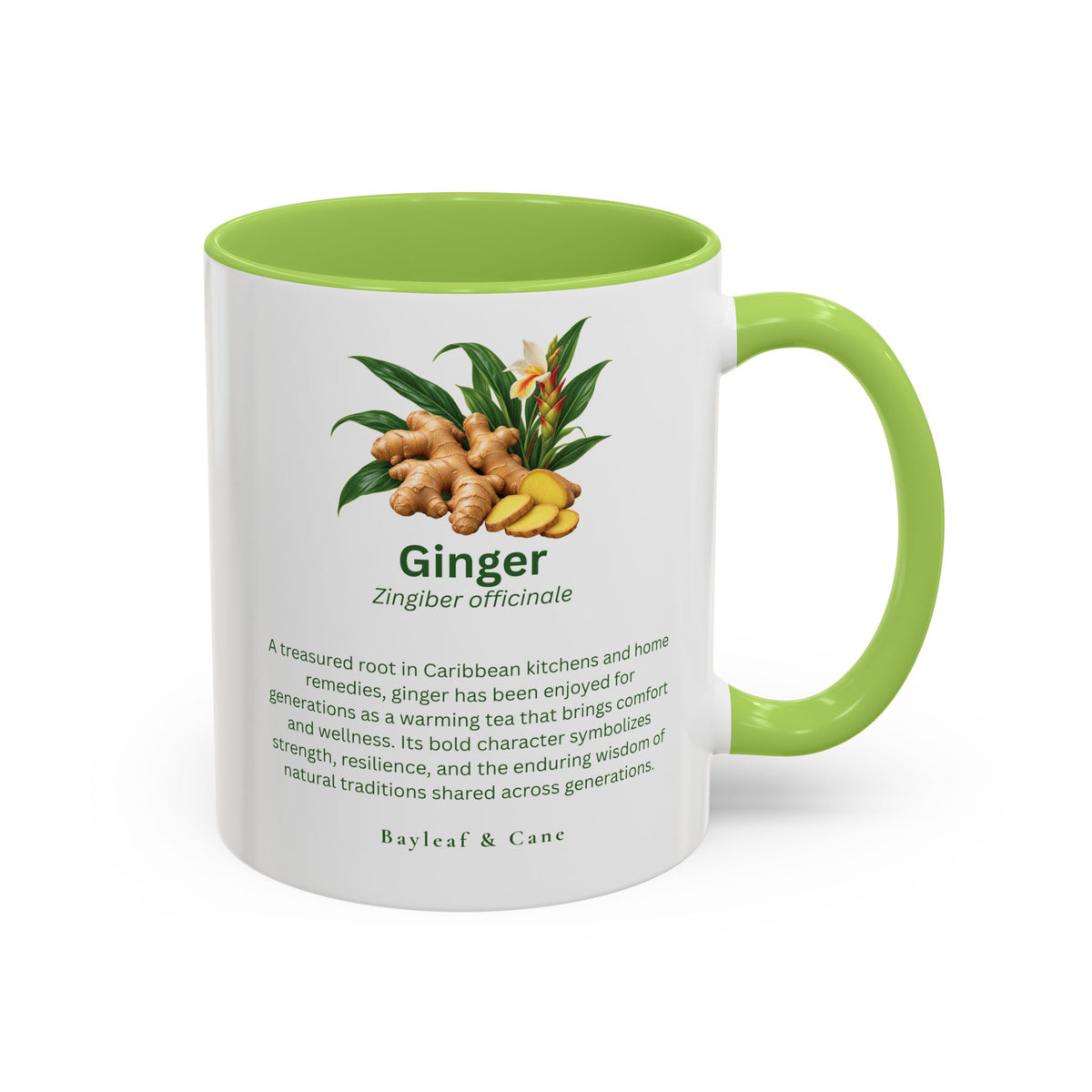 Ginger Botanical Accent Mug