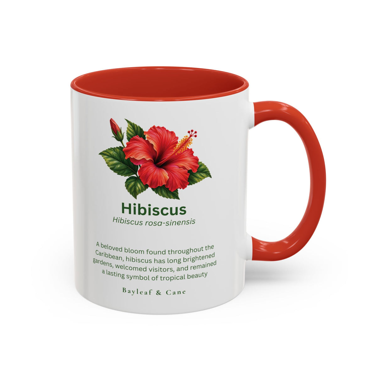 Hibiscus Botanical Accent Mug