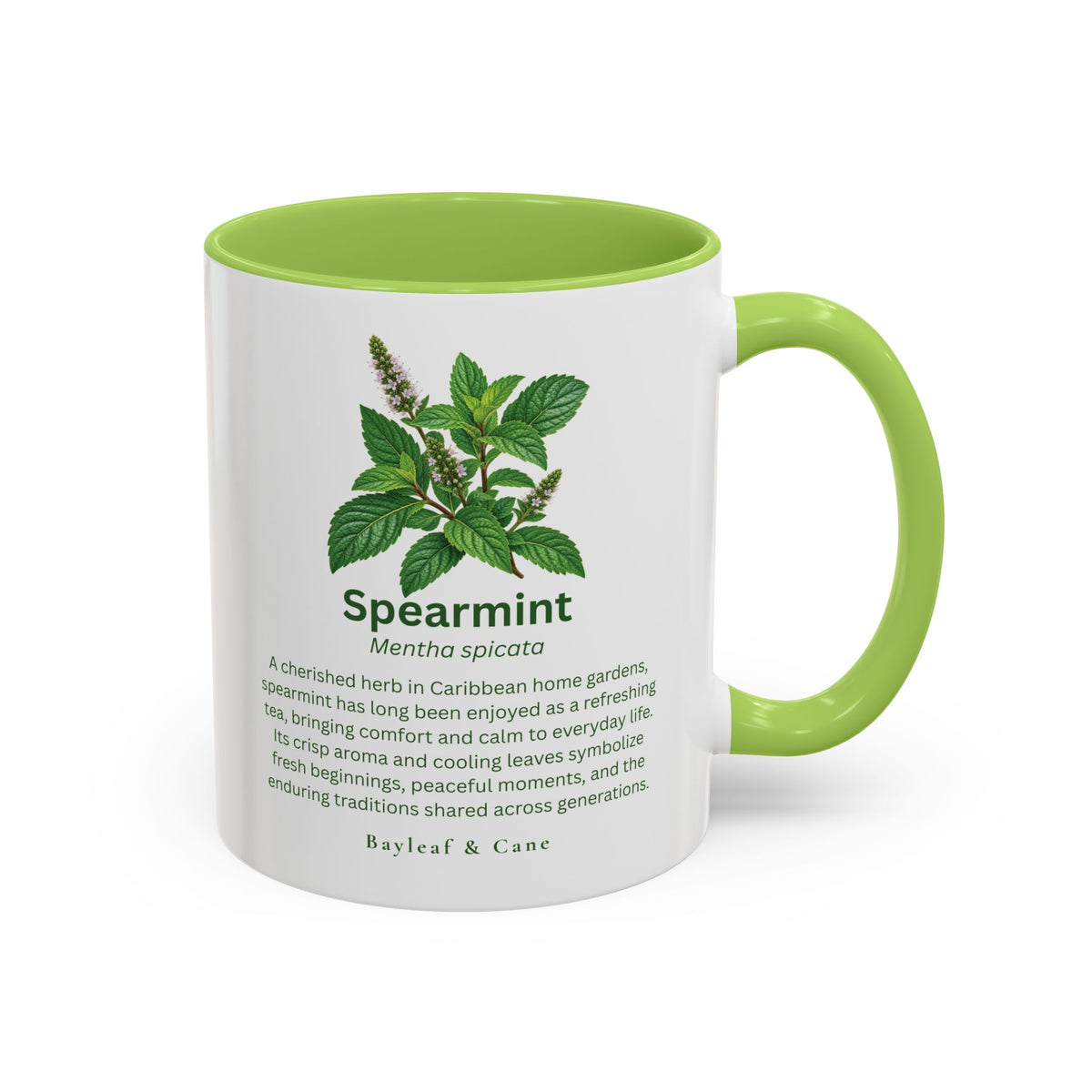 Spearmint Botanical Accent Mug