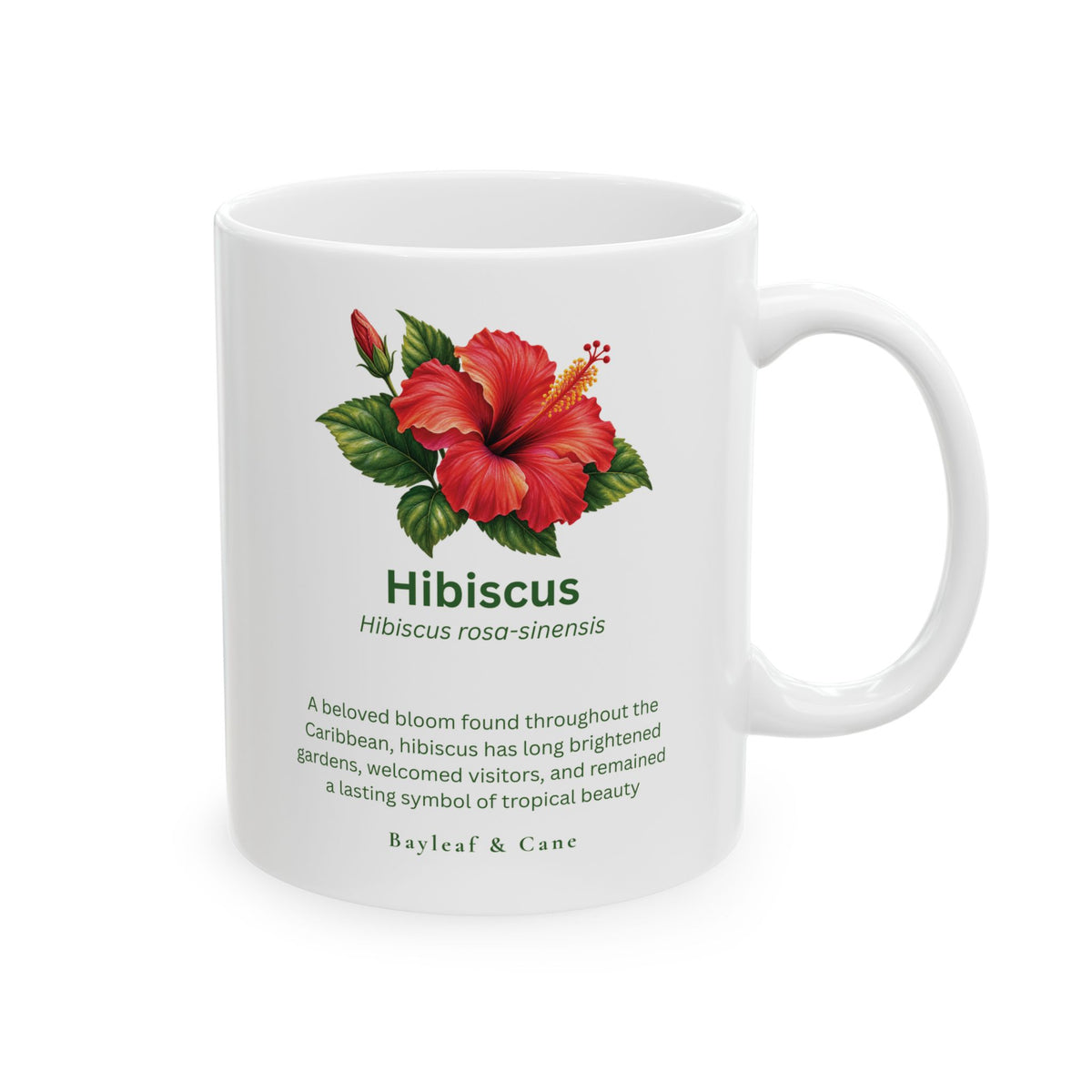 Hibiscus Botanical Mug