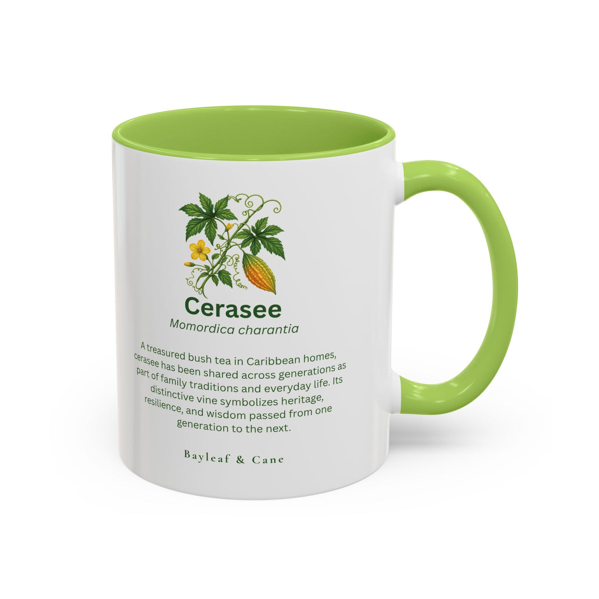 Cerasee Botanical Accent Mug